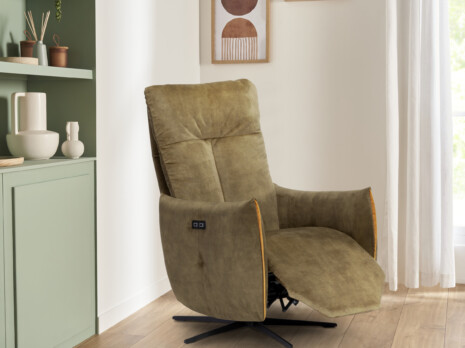 Fauteuil marron/vert rembouré et confortable vue de profil dans le coin d'une pièce à côté d'une bibliothèque verte avec des objets de décoration ainsi qu'un cadre avec une illustration de sablier marron et rouge